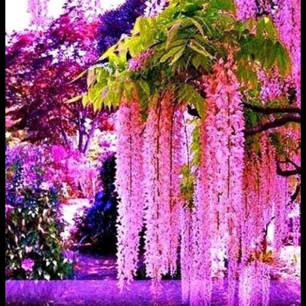 ❣️🌸💜Meet your Posh Ambassador Nihal❣️🌸💙🦋🦋
Only 2025 year listing is available.